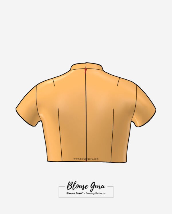 Blouse Guru Collar Neck Back Open Design 1 Back