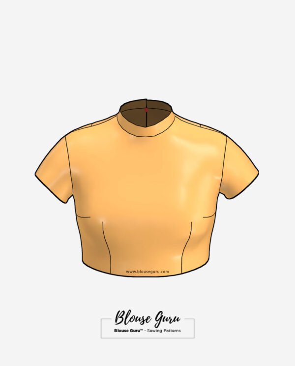 Blouse Guru Collar Neck Back Open Design 1 Front