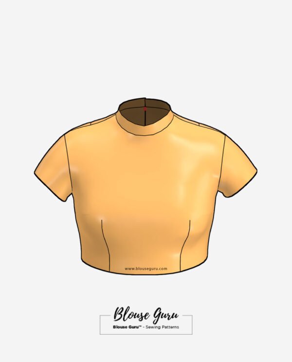 Blouse Guru Collar Neck Back Open Design 2 Front