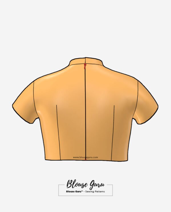 Blouse Guru Collar Neck Back Open Design 3 Back