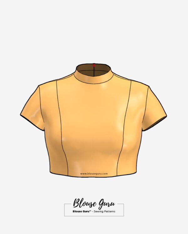 Blouse Guru Collar Neck Back Open Design 4 Front