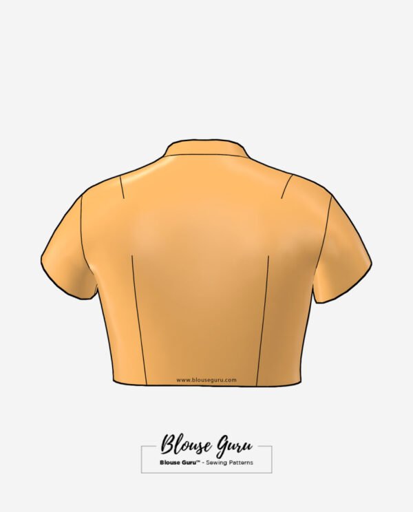 Blouse Guru Collar Neck Front Open Design 1 Back