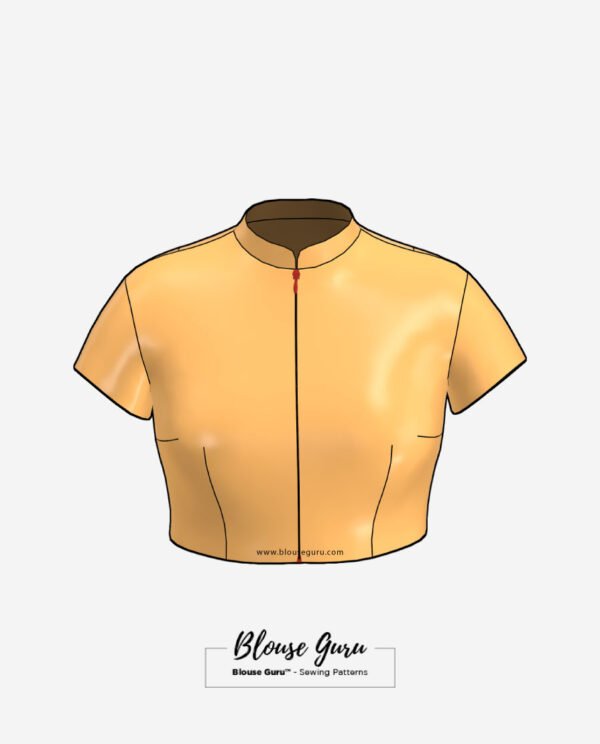 Blouse Guru Collar Neck Front Open Design 1 Front