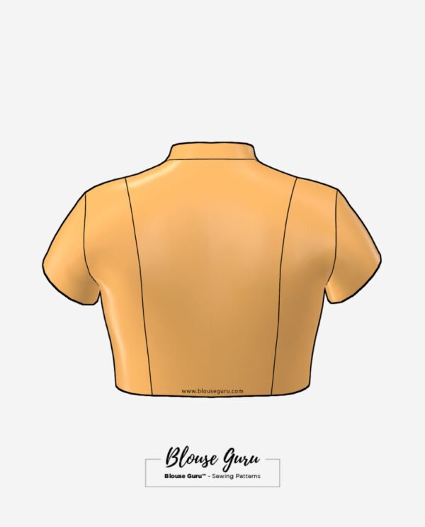 Blouse Guru Collar Neck Front Open Design 4 Back
