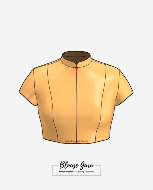Blouse Guru Collar Neck Front Open Design 4 Front
