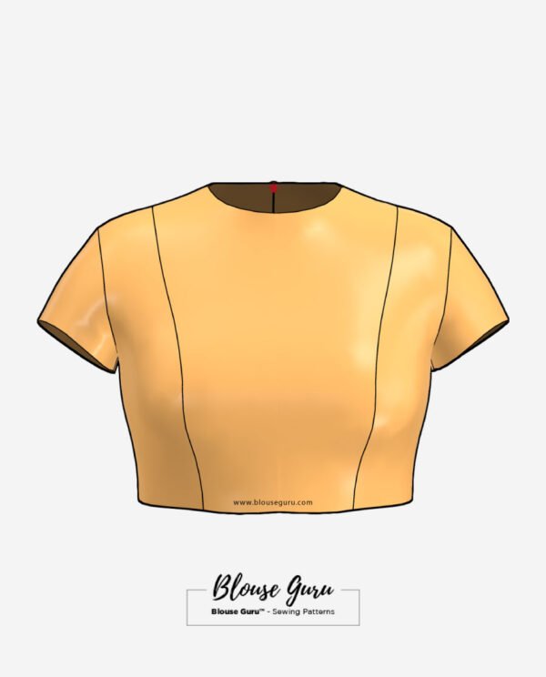 Blouse Guru Jewel Neck Back Open Design 4 Front